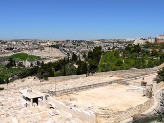 Израиль, Иерусалим. Современный Гефсиманский сад - лишь часть некогда обширного сада времен Христа.