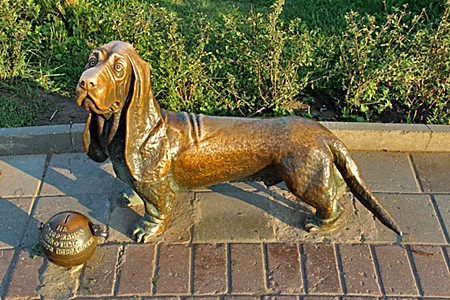 Кострома, Бронзовый памятник собаке, Перед собакой находится копилка с надписью о том, что все пожертвованные деньги будут переданы в Центр передержки животных города.