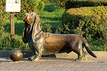 Кострома, Бронзовый памятник собаке Бобке на Сусанинской площади.