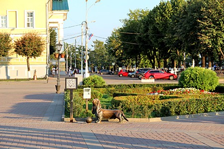 Кострома, Бронзовый памятник собаке, «на содержание животных в центре передержки».