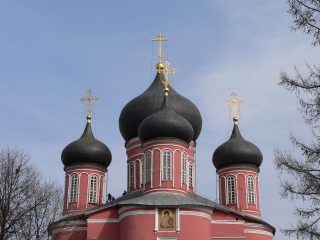 Донской мужской монастырь в Москве, Собор Донской иконы Божией Матери