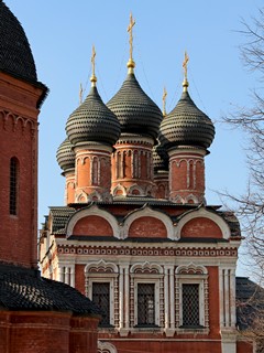 Высоко-Петровский мужской монастырь, купола Боголюбского собора