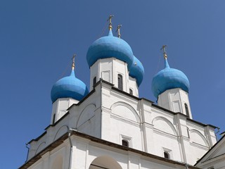 Серпухов, Высоцкий мужской монастырь. Купола Зачатьевского собора.