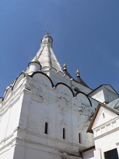 Серпухов, Владычный женский монастырь. Купола Георгиевской церкви.