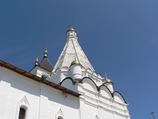 Серпухов, Владычный женский монастырь. Купола Георгиевской церкви.