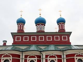 Николо-Радовицкий монастырь. Купола собора Рождества Пресвятой Богородицы.