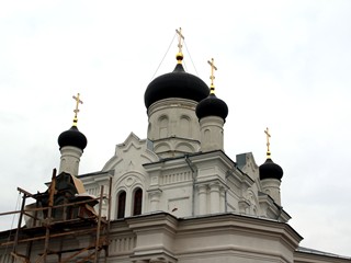 Свято-Троицкий Мариинский женский монастырь. Купола Свято-Троицкого собора.