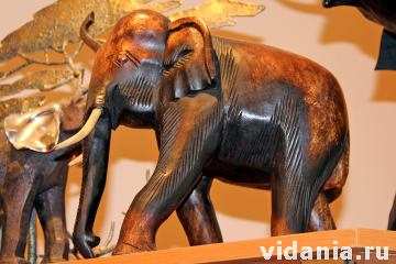 Музей слонов в Жуковском