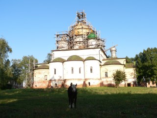 Переславль-Залесский, Феодоровский женский монастырь. Монастырская живность на фоне Феодоровского собора
