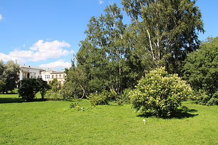 Главный ботанический сад