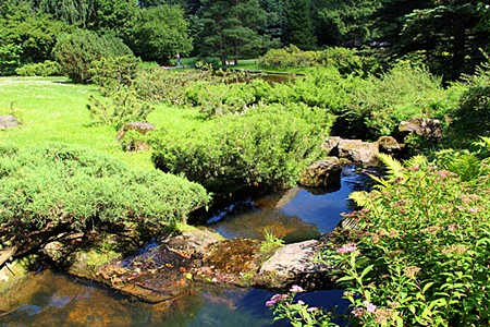 Японский сад Главного ботанического сада