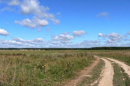 Леса и поля в Московской области.