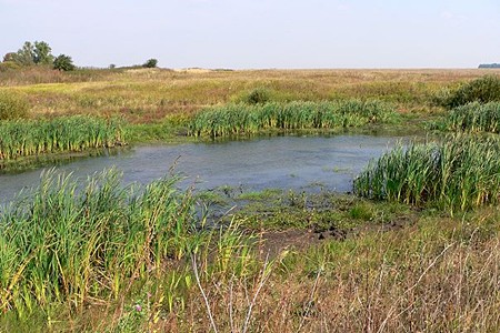 Озёра и реки в Тульской области.