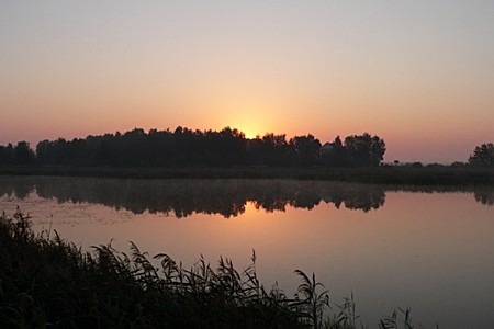 Озёра и реки в Московской области.